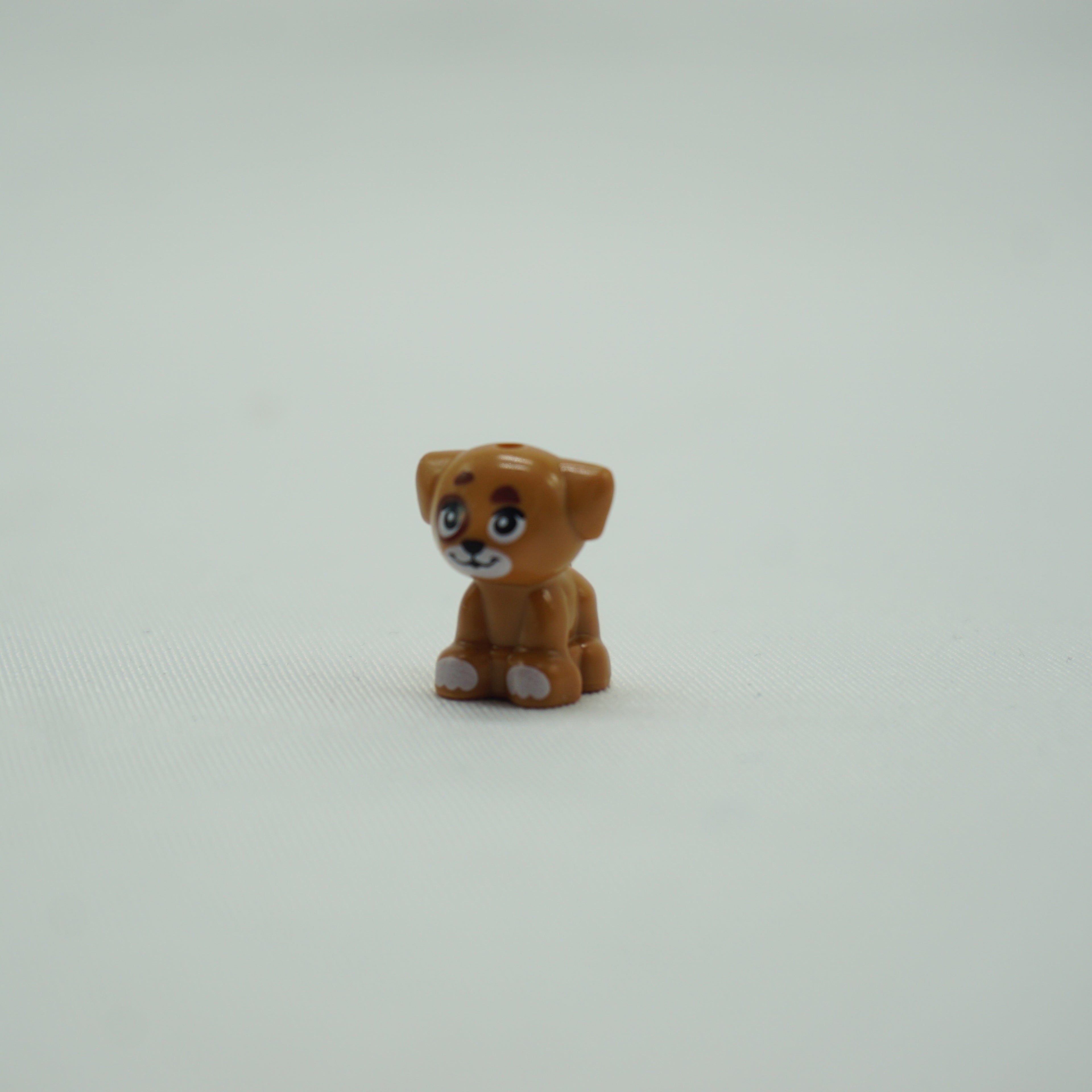 Part 69901pb08 - Dog, Friends, Puppy, Standing, Small with White Muzzle and Paws, and Reddish Brown Spots Pattern