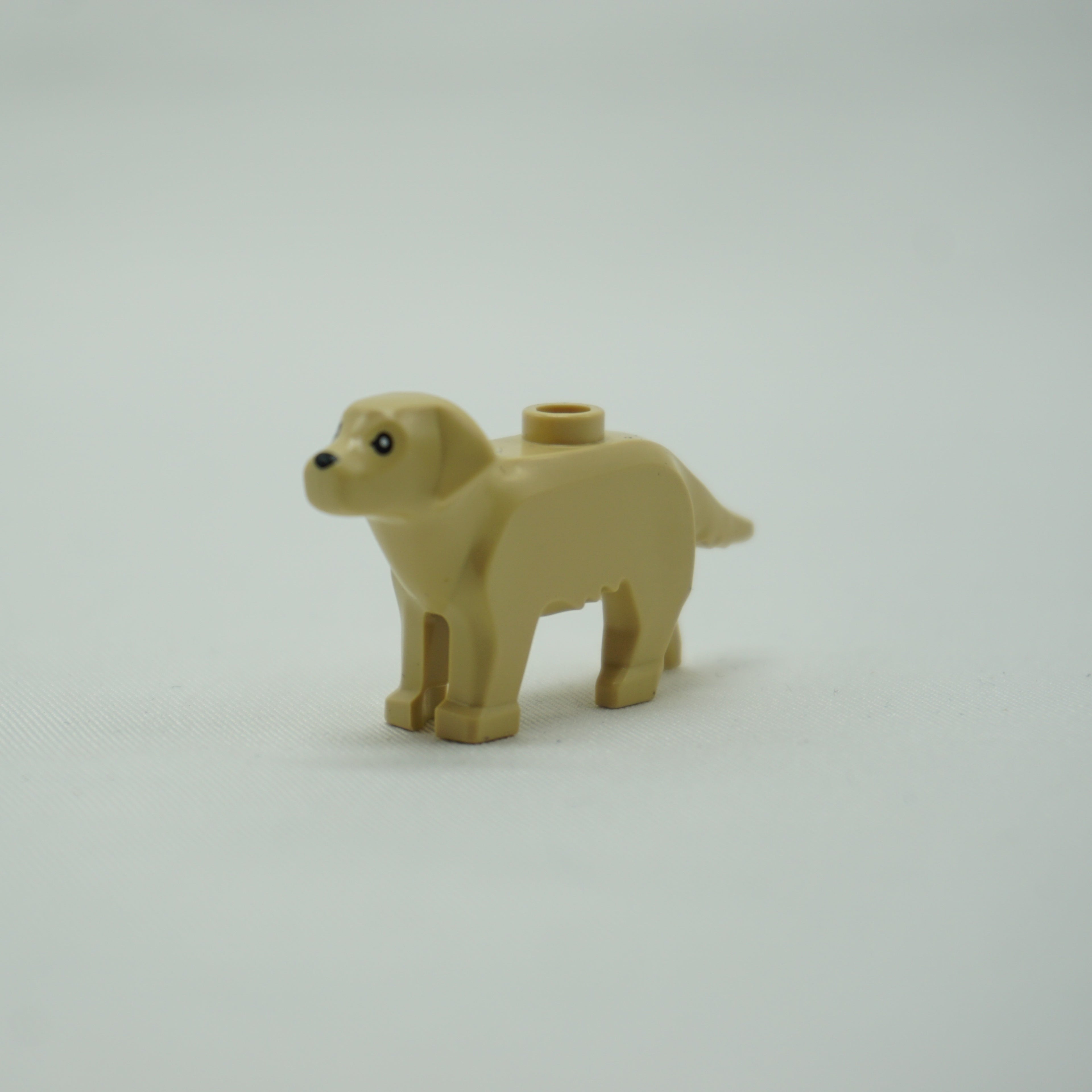 Part 69962pb01 - Dog, Labrador / Golden Retriever with Black Eyes and Nose Pattern